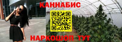 PSILOCYBIN Кингисепп