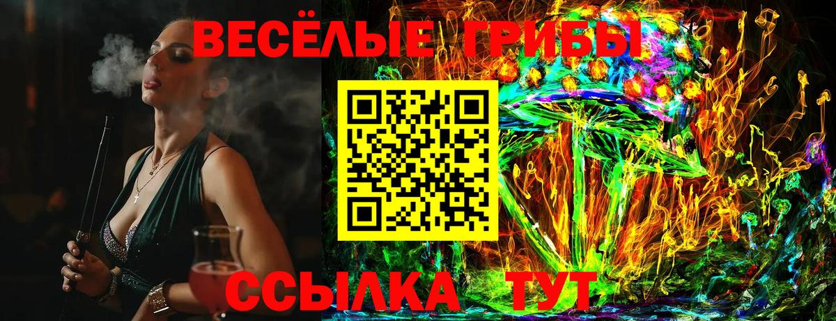 Псилоцибиновые грибы Cubensis  Псилоцибиновые грибы прущие грибы  Вход с VPN  Ленинск-Кузнецкий 